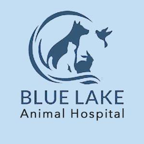 Blue-Lake-Animal-Hospital